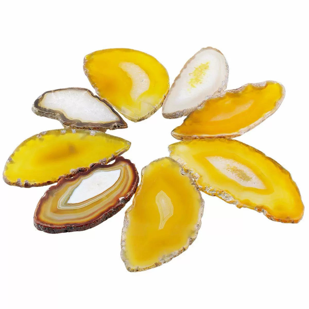 2.5"-3.5" Yellow Agate Slices for DIY Calligraphy & Crafts Wedding Place Cards